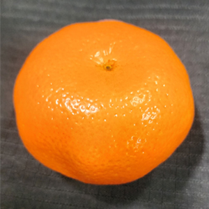 Low Methoxyl Amidated (Citrus)
