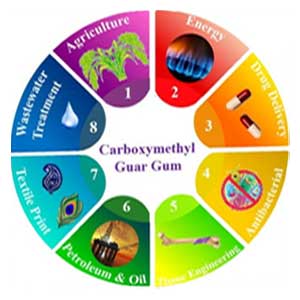 Carboxymethyl Guar Gum