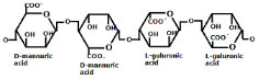 Alginic Acid