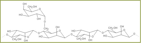 Locust Bean Gum