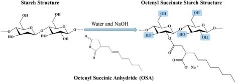 Octenyl Succinate Starch